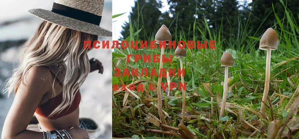 MESCALINE Белокуриха