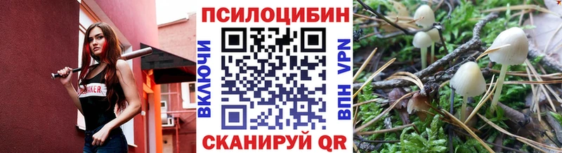 Псилоцибиновые грибы мухоморы OMG сайт Электросталь